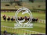 World Of Sport